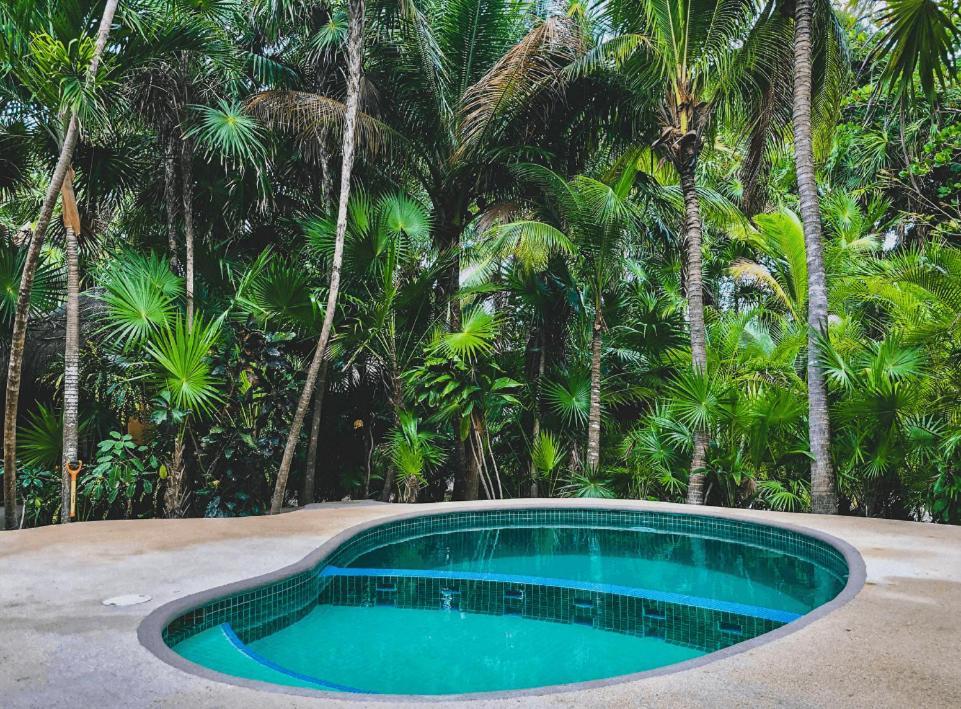 Charming 2 Bedrooms Private In Soliman Bay